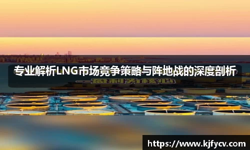 专业解析LNG市场竞争策略与阵地战的深度剖析