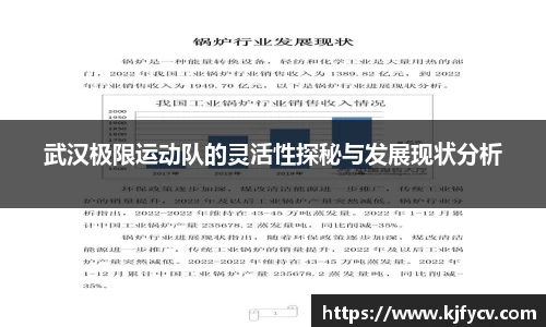 武汉极限运动队的灵活性探秘与发展现状分析
